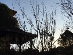 -沃阁巴厘原墅餐厅