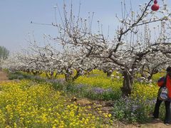 -石家庄市动物园