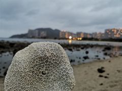 -银泰阳光度假酒店-海悦轩中餐厅(海花路店)
