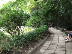 -上海交通大学医学院附属瑞金医院(总院)