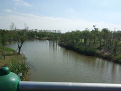 -上海长兴岛郊野公园