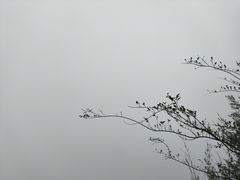 -崀山风景名胜区