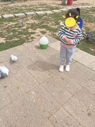 -上美四季动物农场