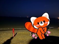 -碣石国家级海洋公园