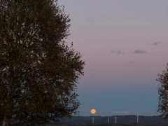 -御道口草原森林风景区