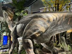 -湖南省地质博物馆