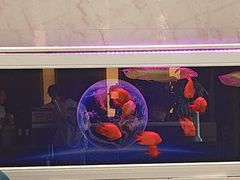 -格林东方酒店(北京国贸四惠高碑店地铁站店)
