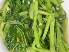 -乌文新澄海卤鹅店