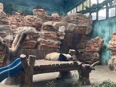 -石家庄市动物园