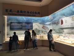 -辽宁古生物博物馆