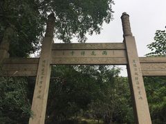 -雨花胜境