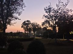 -江滩湿地公园
