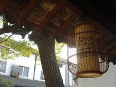 -黎里古镇