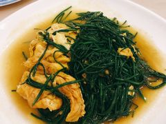 沙葱炒鸡蛋-敦煌达记酱驴肉黄面馆