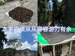 -大罗山风景区