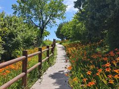 -白水寺森林公园