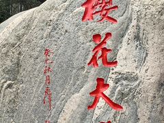 -武汉大学-樱园