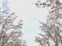 -长田漾湿地公园