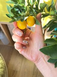 -Fanni美甲美睫皮肤管理