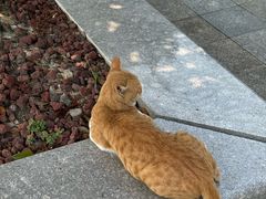 -狼山风景名胜区