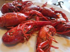 -嘉定凯悦·咖啡厅