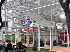 -盈香心动乐园