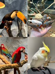 -Zoolung Zoolung动物主题公园(海信广场店)