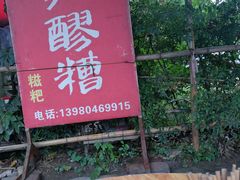 -张醪糟