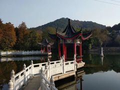 -青龙山国家森林公园