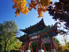 -香山公园