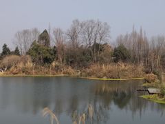 -桤木河湿地公园