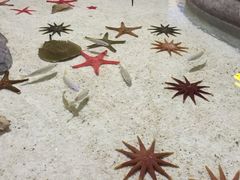 -福州罗源湾海洋世界旅游区