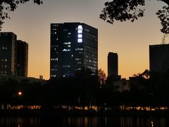 -月湖公园