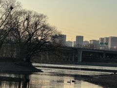 -长白岛森林公园