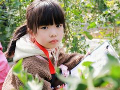 -缤纷鸟美术书法(交大校区)