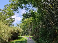 -火炉山森林公园