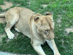 -北京野生动物园