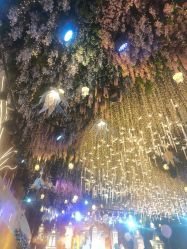 -花嫁丽舍海岛婚礼殿堂(国展店)