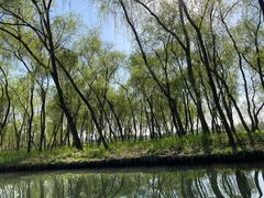 -西溪国家湿地公园