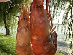 -品鲜村农家菜·阳澄湖大闸蟹(总店)