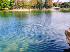 -四海公园(南山区)