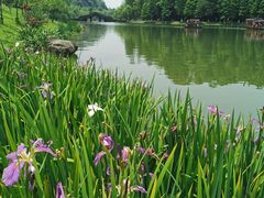 -常德桃花源景区