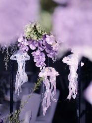 -南昌喜来登酒店·宴会厅