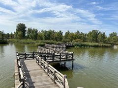 -野鸭湖国家湿地公园