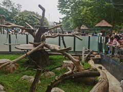 -大连森林动物园