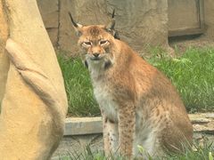 -石家庄市动物园