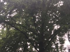 -毛泽东同志旧居