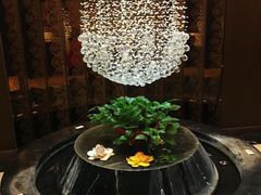 -俏江南(中山路先天下广场店)