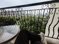 -重庆长寿碧桂园凤悦凤凰酒店