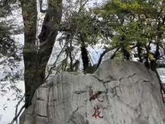 -金鸡湖桃花岛